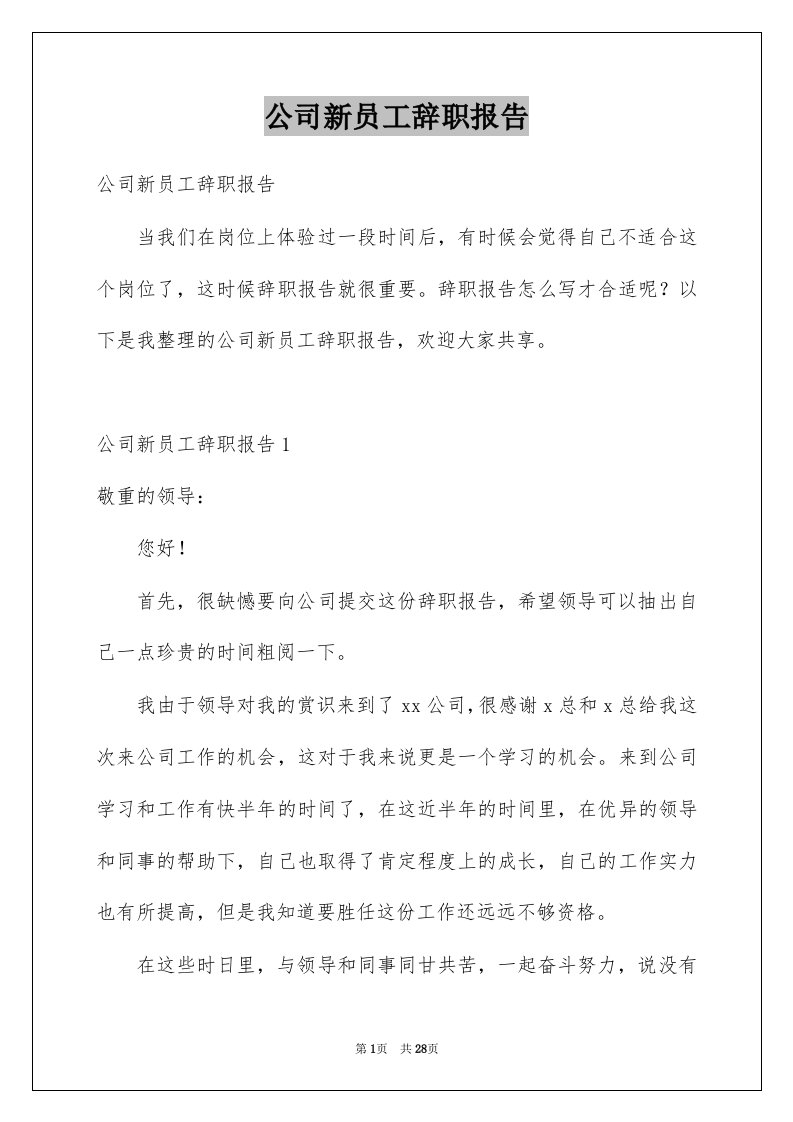 公司新员工辞职报告汇总