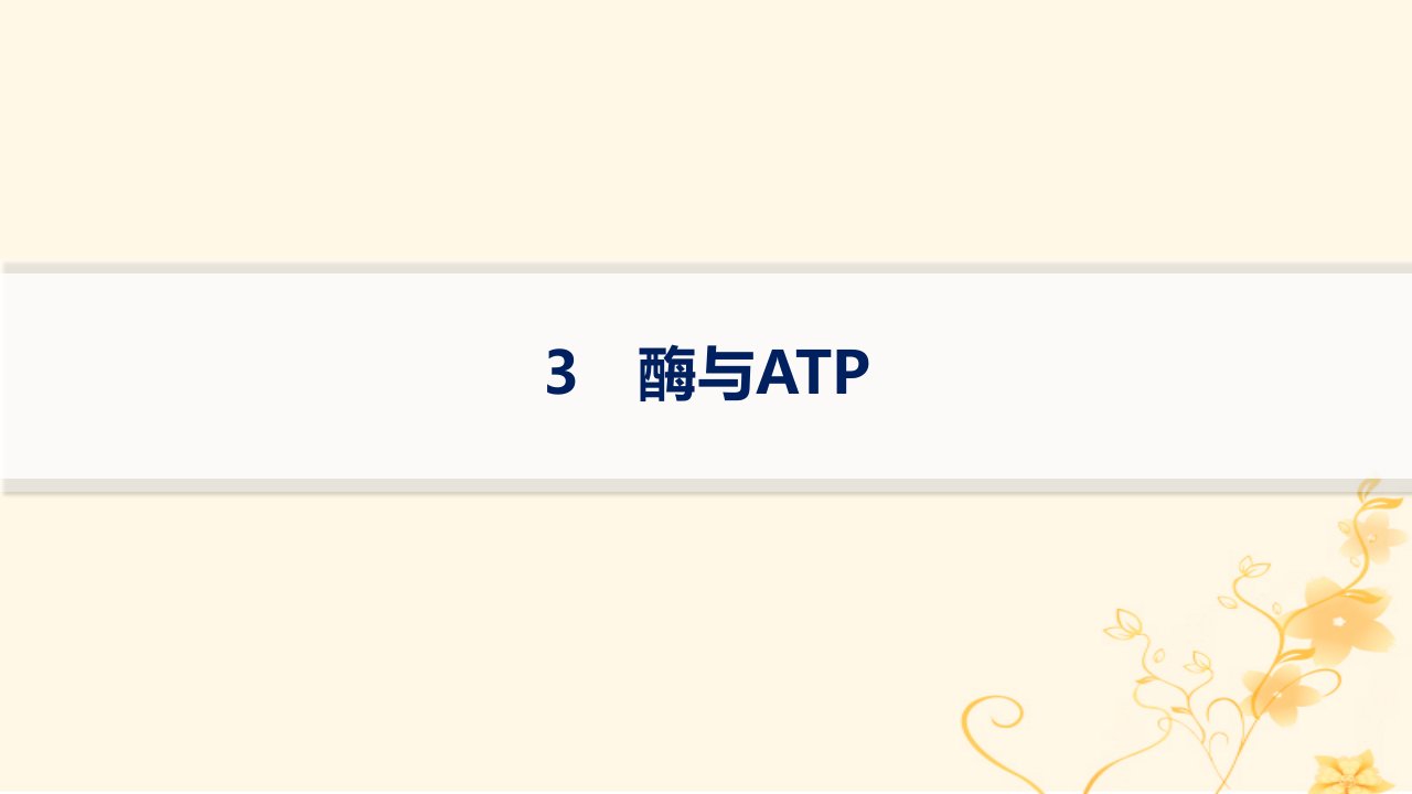 适用于新高考新教材2024版高考生物二轮复习知识对点小题练3酶与ATP课件