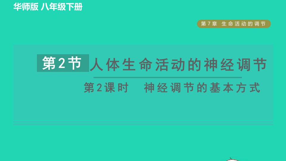 2022八年级科学下册第7章生命活动的调节2人体生命活动的神经调节第2课时神经调节的基本方式习题课件新版华东师大版