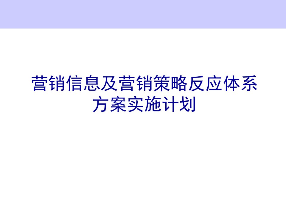 营销信息及营销策略体系实施计划书