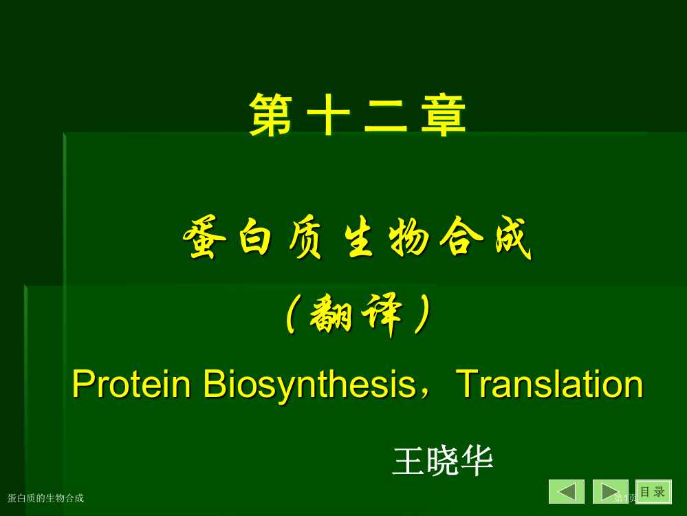 蛋白质的生物合成专家讲座