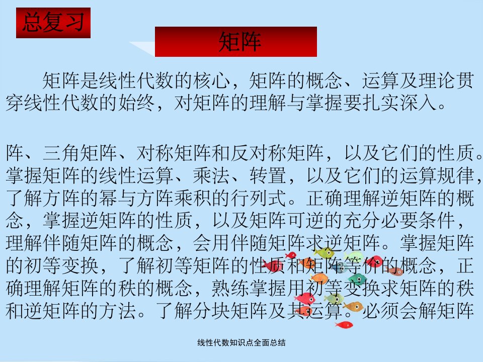 线性代数知识点全面总结