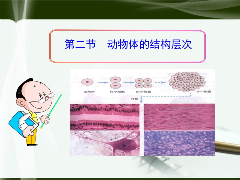 新人版【七年级生物】教案第二节