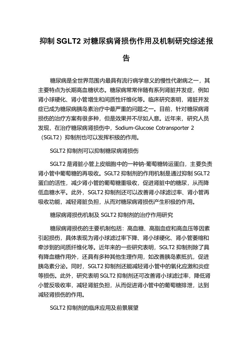 抑制SGLT2对糖尿病肾损伤作用及机制研究综述报告