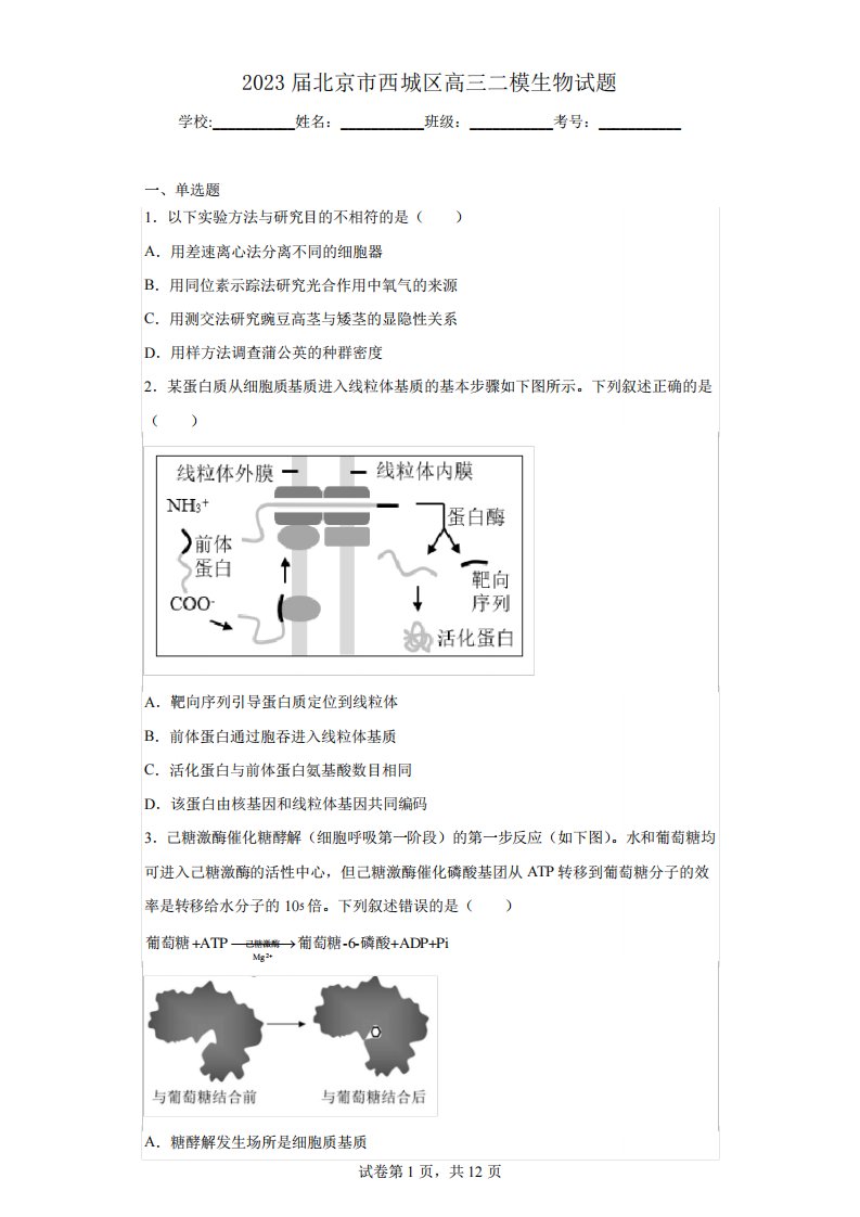 2023届北京市西城区高三二模生物试题(含答案)