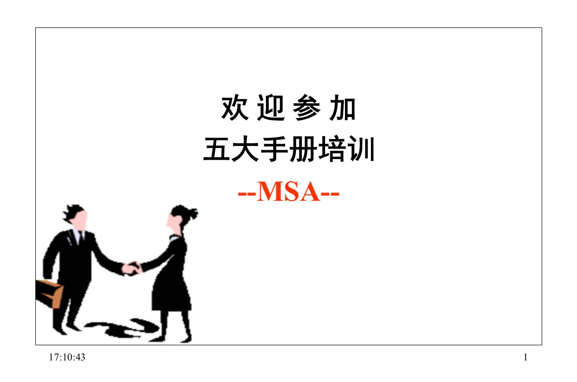 《大手册MSA培训》PPT课件