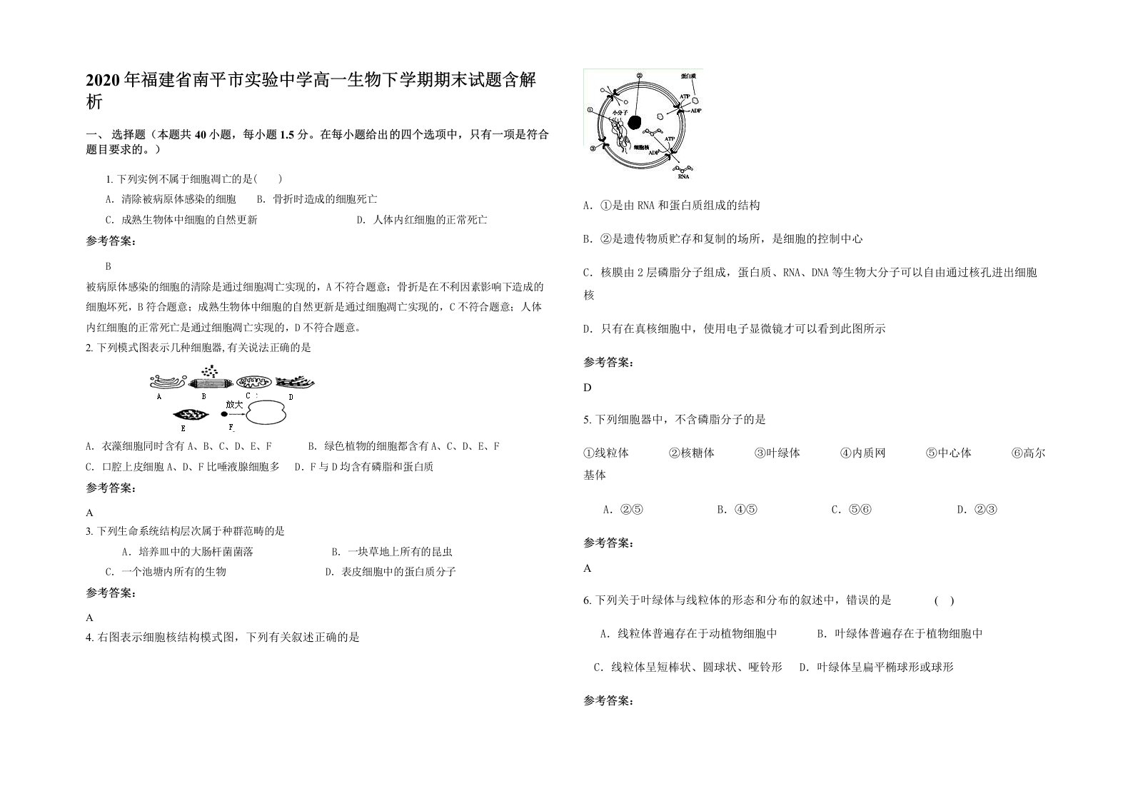 2020年福建省南平市实验中学高一生物下学期期末试题含解析