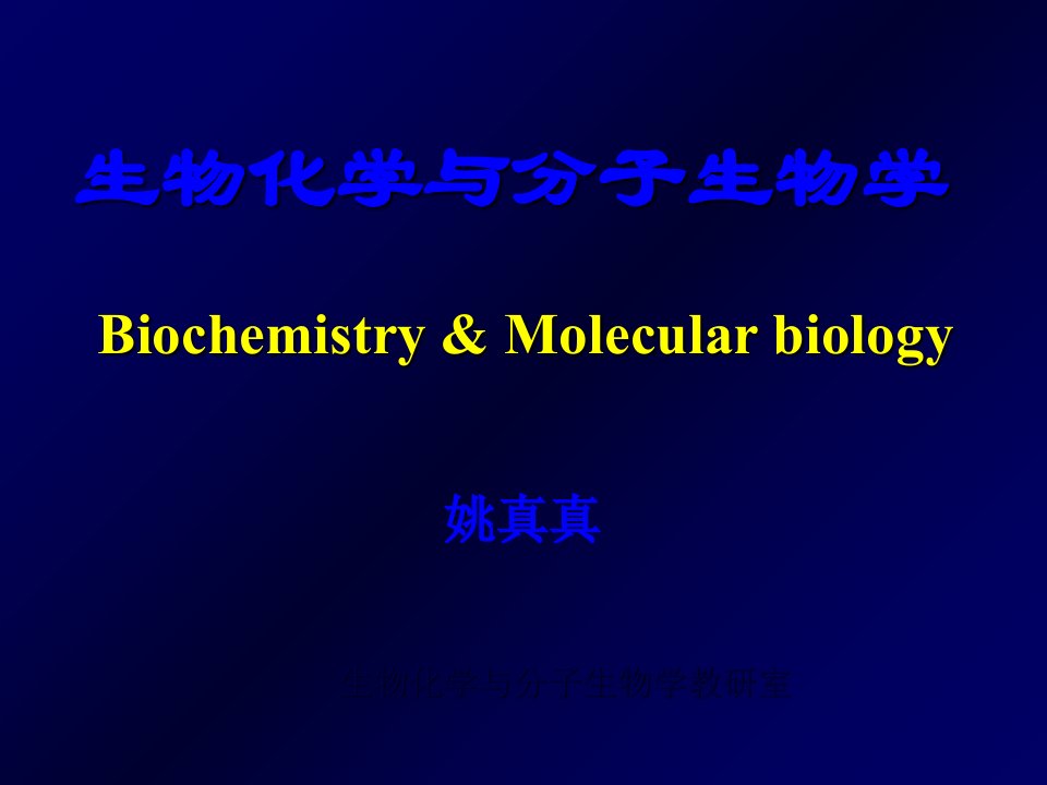 蛋白质结构与功能