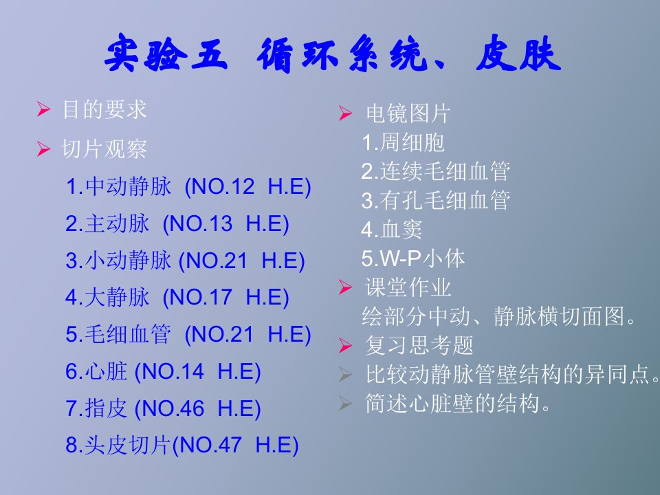 实验五循环系统、皮肤