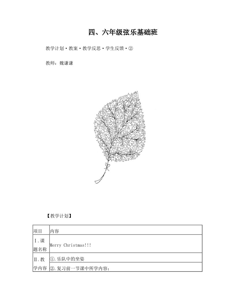 小提琴初级班集体课教案·教学计划·教学反思·学生反馈