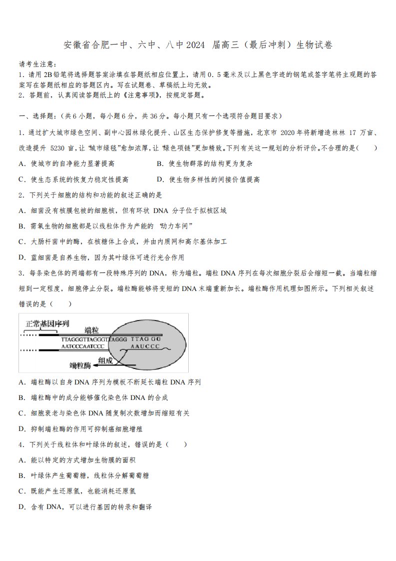 安徽省合肥一中、六中、八中2024届高三(最后冲刺)生物试卷含解析