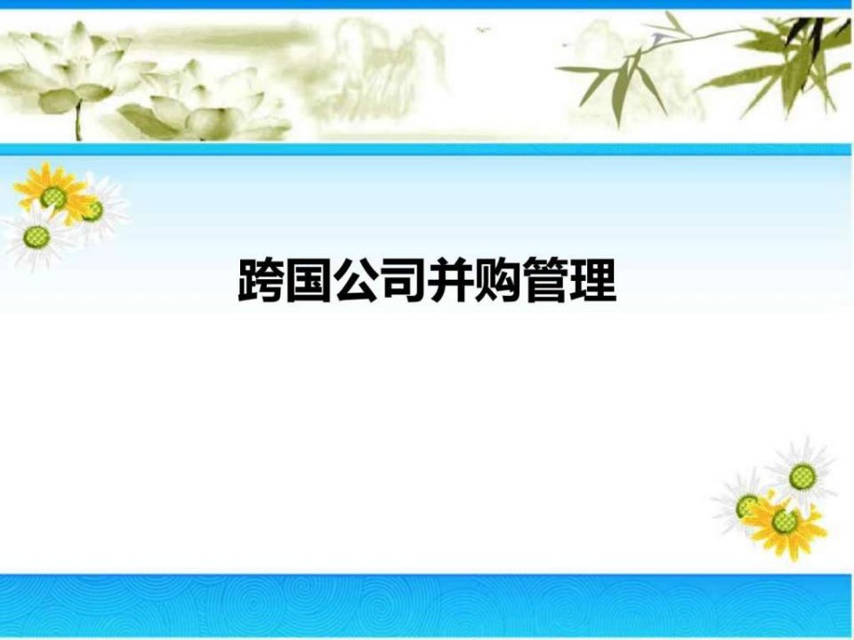 传媒跨国公司并购管理ppt课件