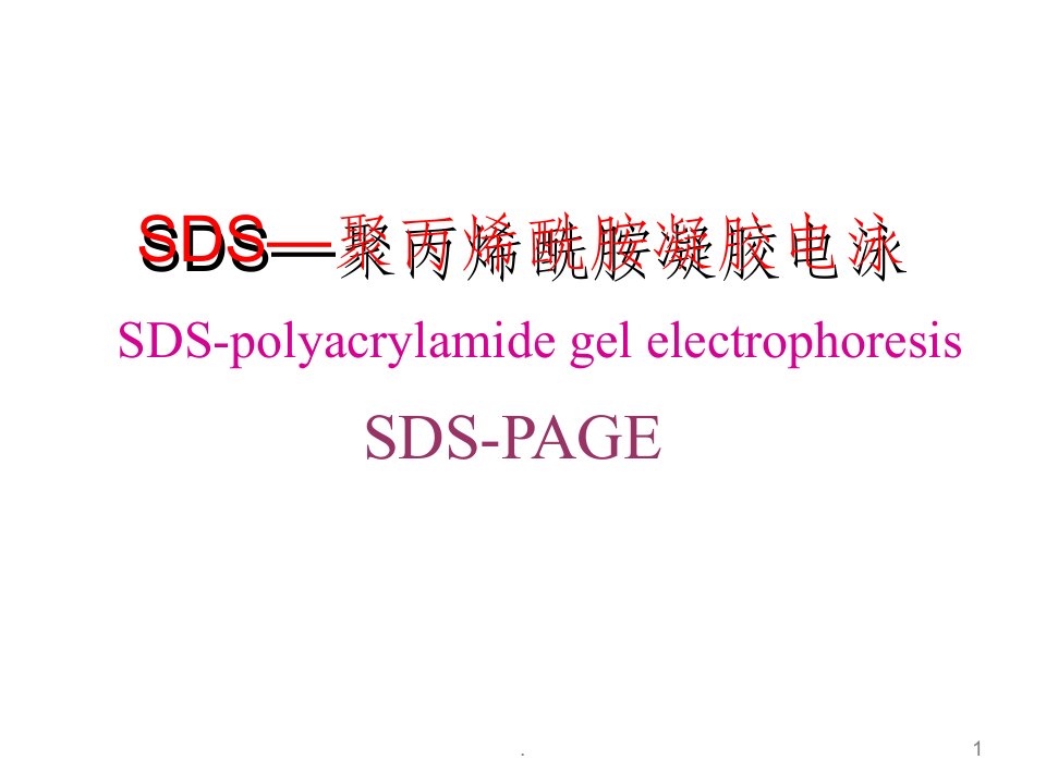 sds-聚丙烯酰胺凝胶电泳ppt课件