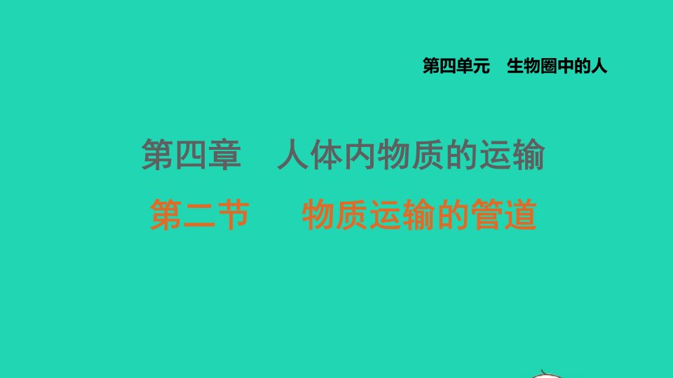 2021秋七年级生物上册第四单元生物圈中的人第四章人体内物质的运输第2节物质运输的管道课件鲁科版五四制