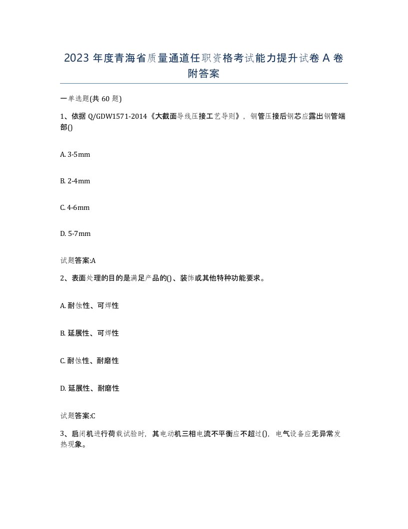 2023年度青海省质量通道任职资格考试能力提升试卷A卷附答案