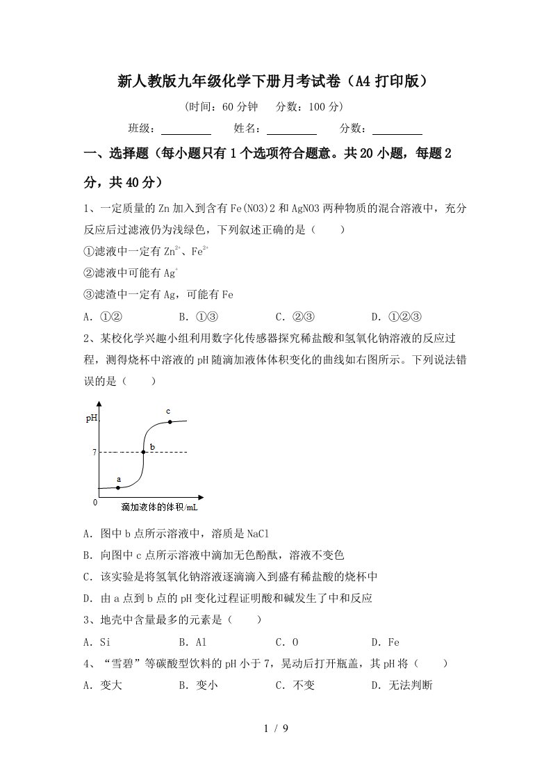 新人教版九年级化学下册月考试卷A4打印版