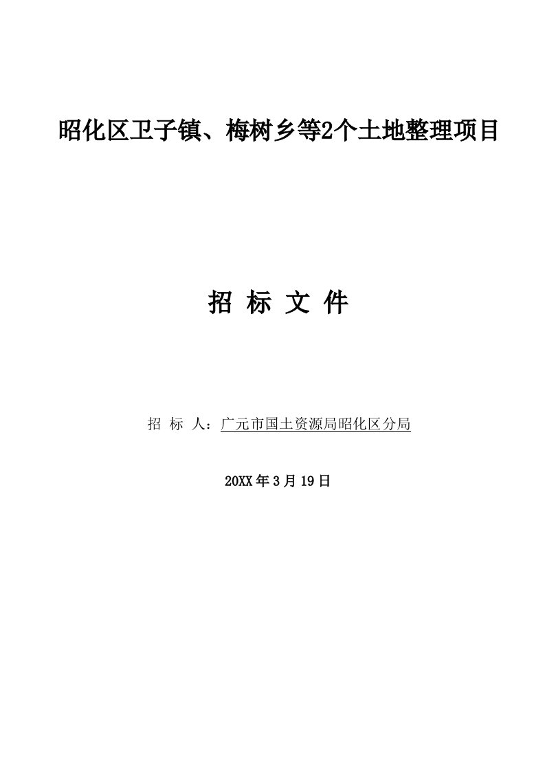 招标投标-土地整理项目施工标准招标文件