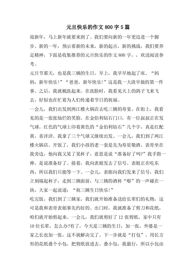 元旦快乐的作文800字5篇