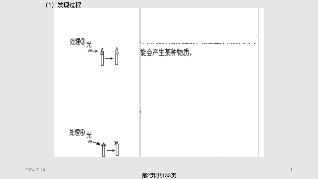 稳态与环境课件