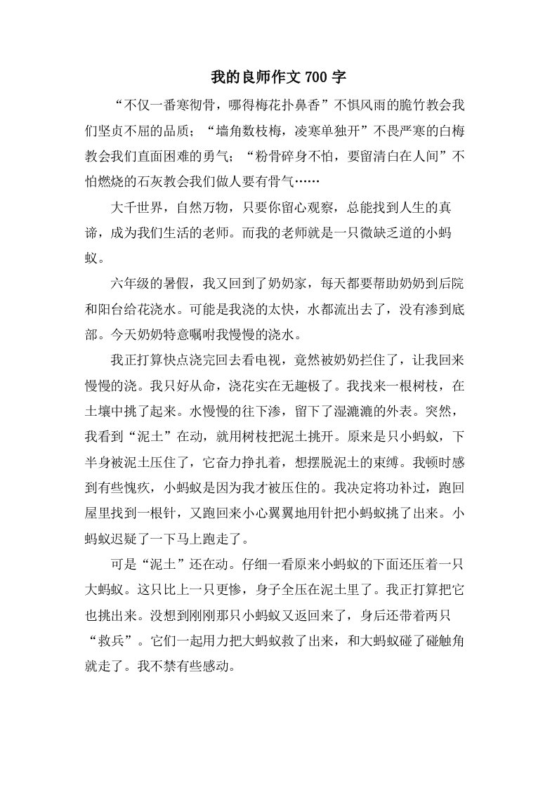 我的良师作文700字