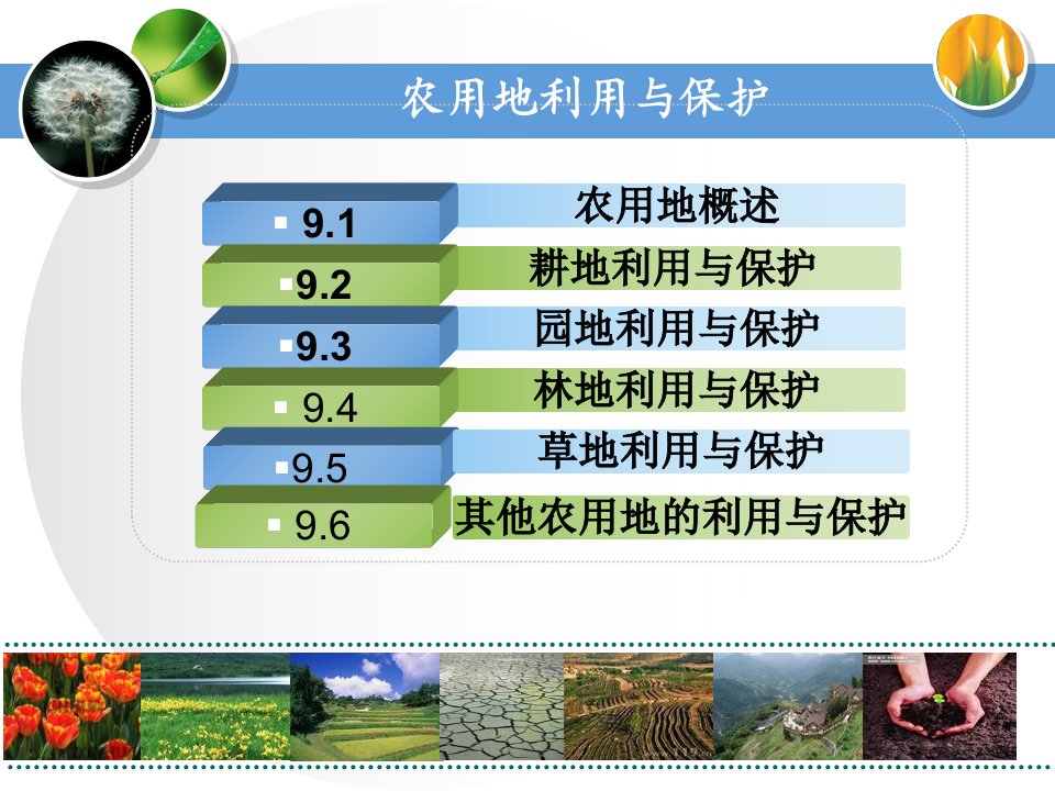 农用地利用和保护专题培训课件