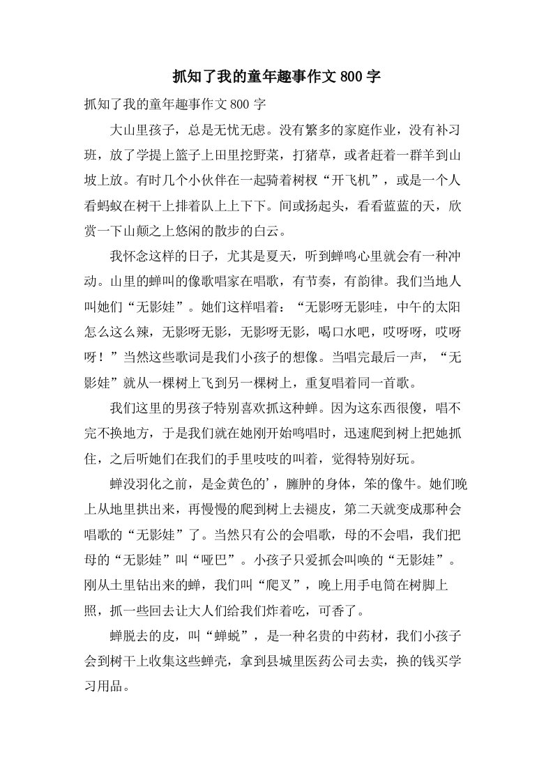 抓知了我的童年趣事作文800字