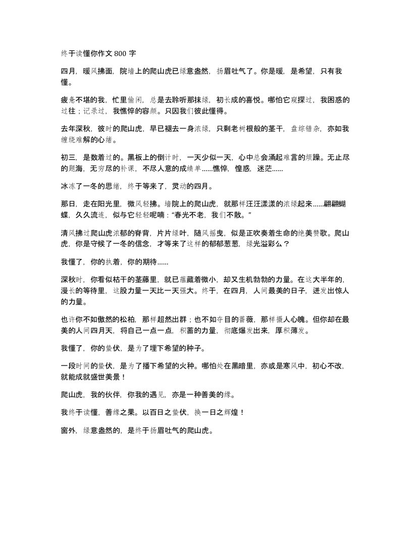 终于读懂你作文800字