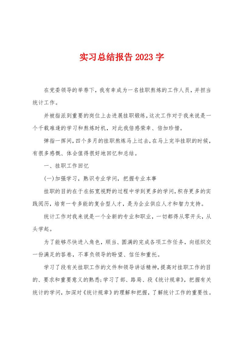 实习总结报告2023年字