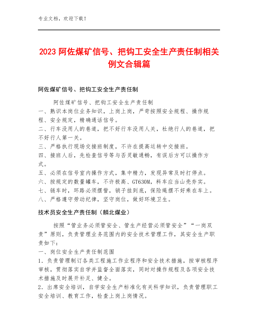 2023阿佐煤矿信号、把钩工安全生产责任制例文合辑篇