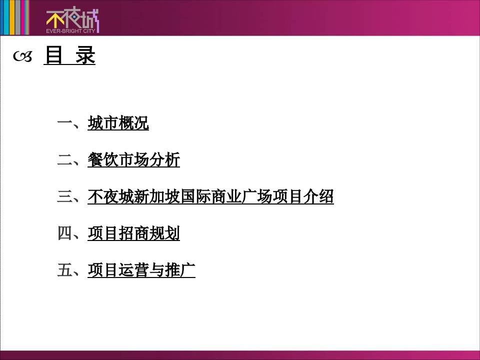 不夜城项目与餐饮招商推介可行性分析报告课件