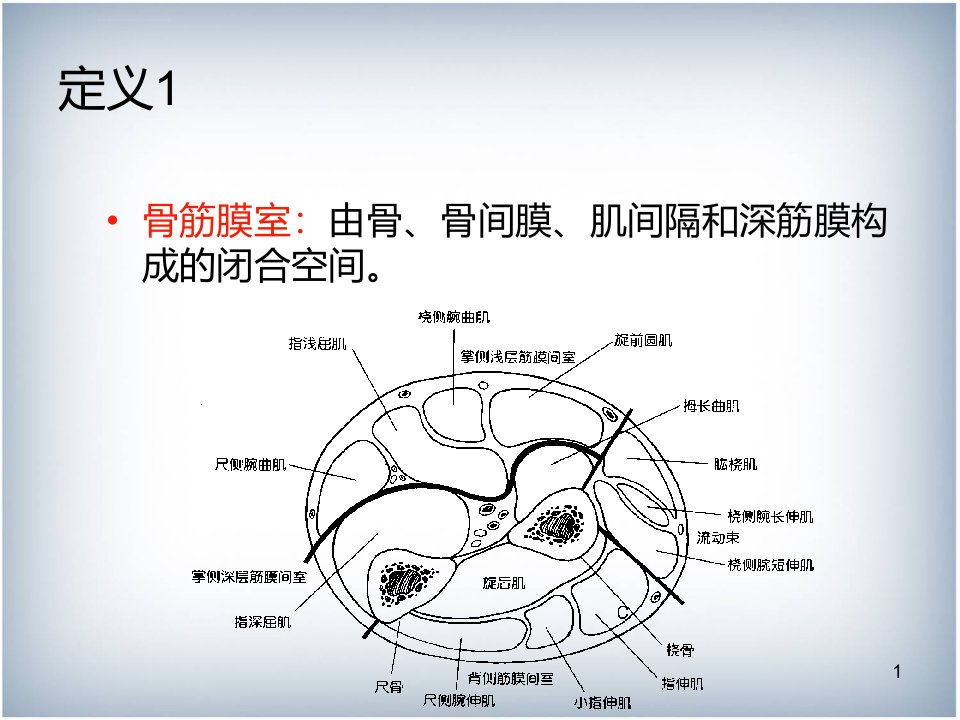 骨筋膜室综合征ppt课件