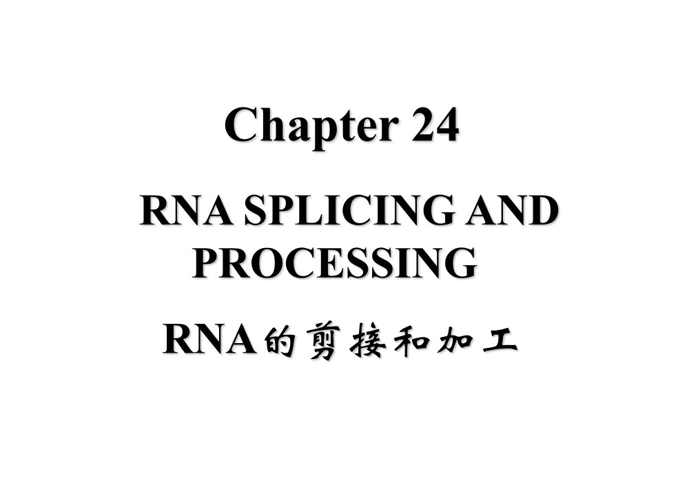 基础分子生物学课件24RNA的剪切与加工