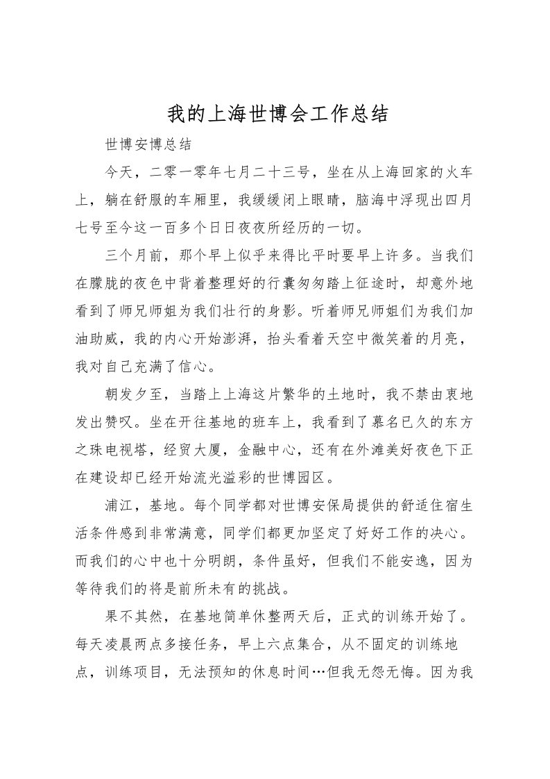 2022我的上海世博会工作总结