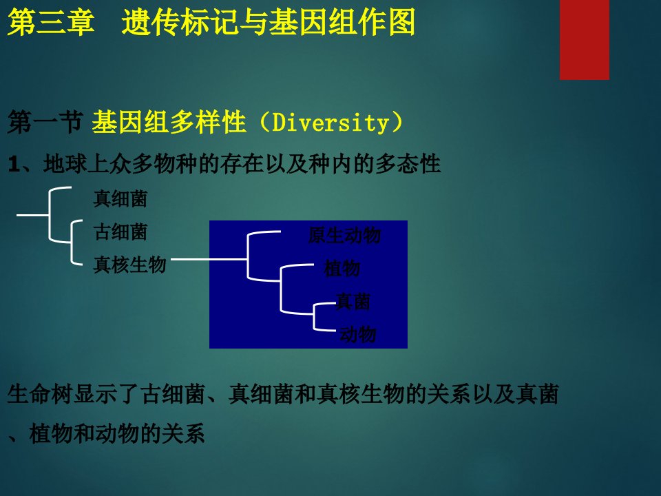 遗传标记与作图