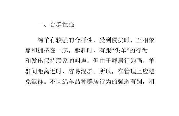 绵羊的生活习性和行为特点