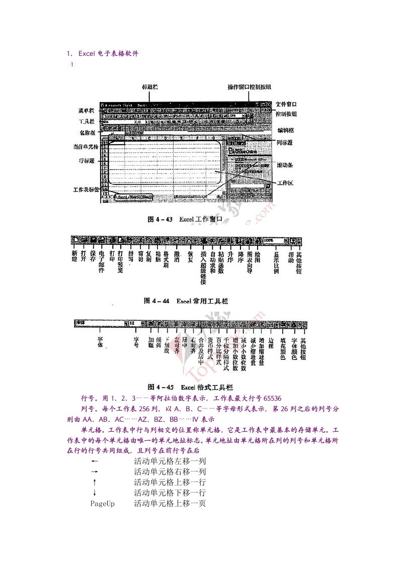 Excel电子表格软