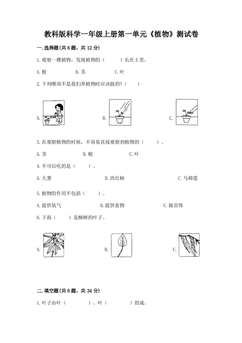 教科版科学一年级上册第一单元《植物》测试卷【实用】