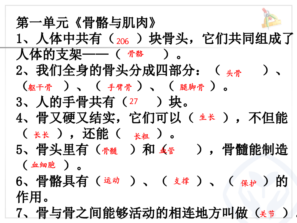 苏教版四年级下册科学复习ppt课件