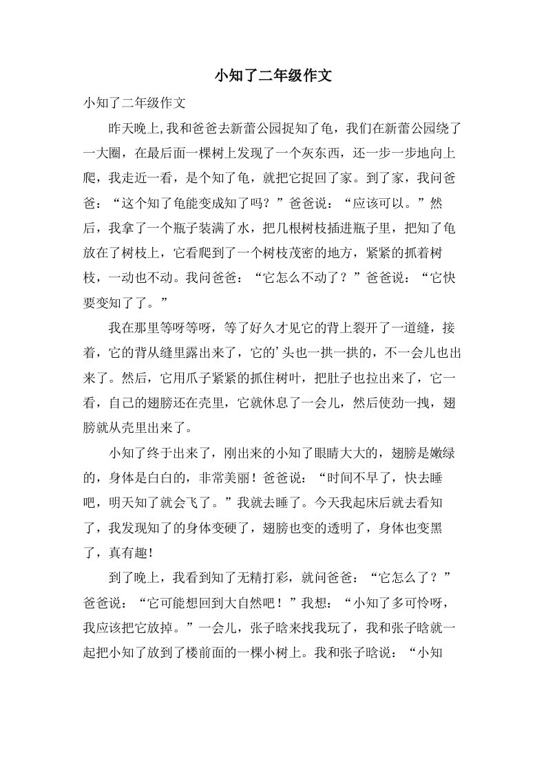 小知了二年级作文