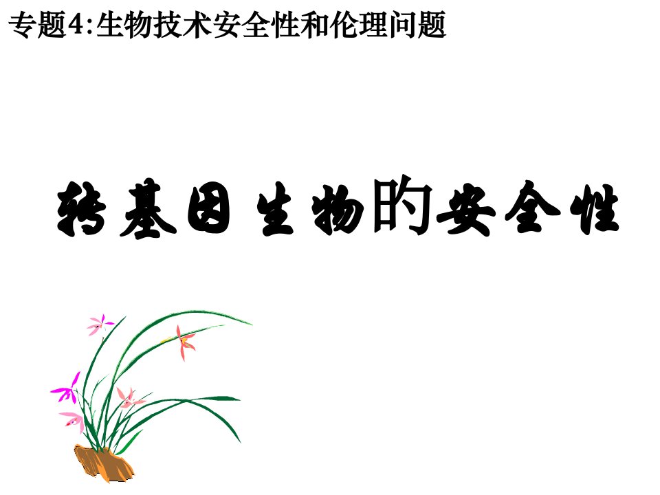 转基因生物的安全性(公开课)市公开课获奖课件省名师示范课获奖课件