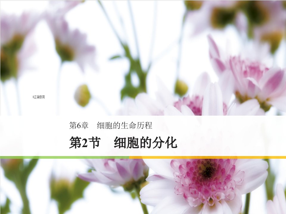 2018-2019学年高一生物人教版必修1步步高课件：6.2