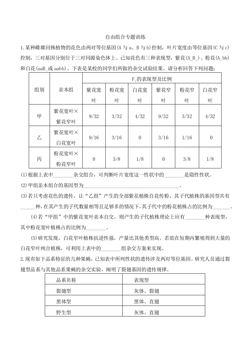 自由组合专题训练