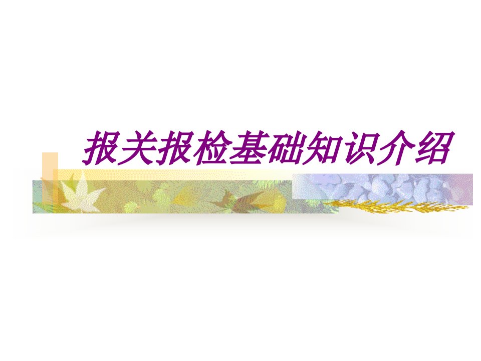 报关报检基础知识介绍PPT主题课件