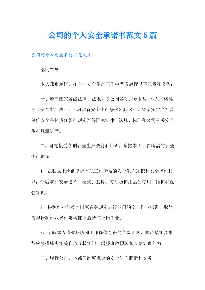 公司的个人安全承诺书范文5篇