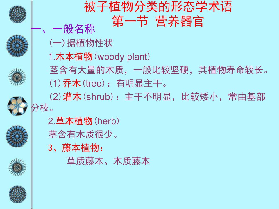 11被子植物分类的形态学术语