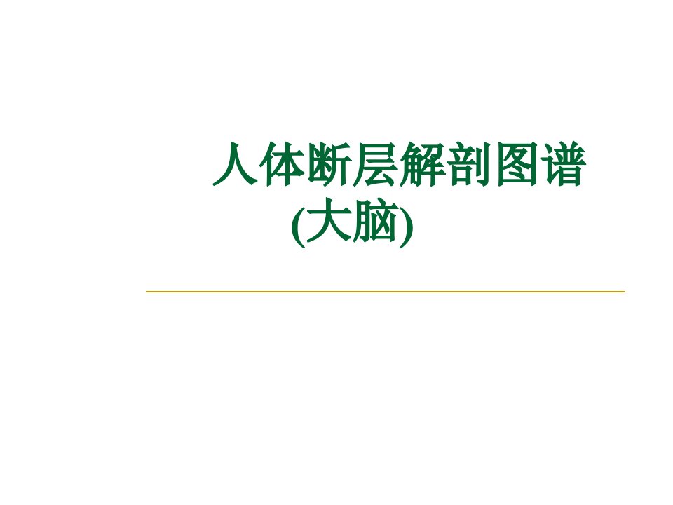 人体断层解剖图谱大脑