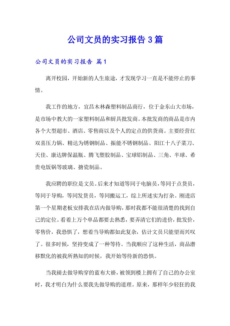 公司文员的实习报告3篇