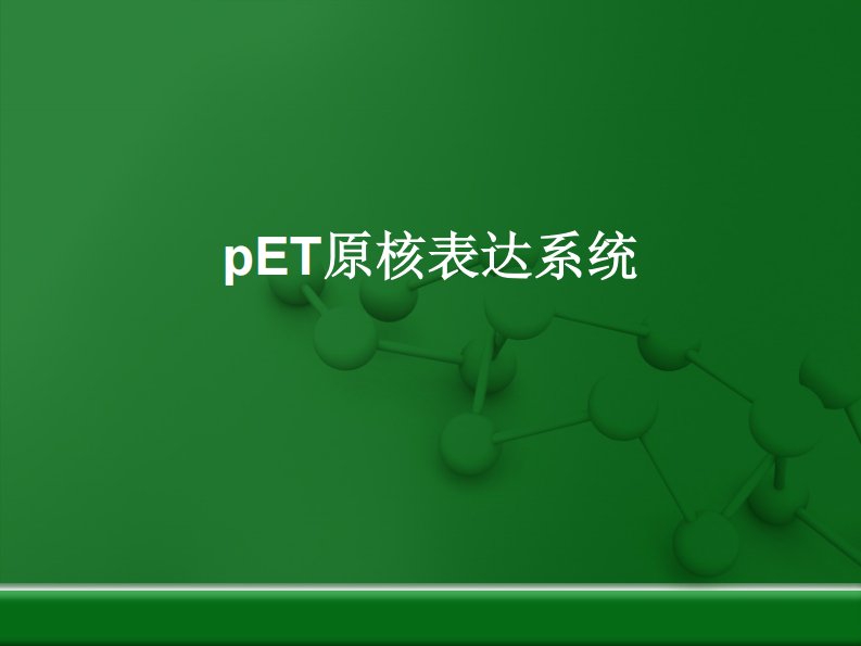 pet原核表达系统