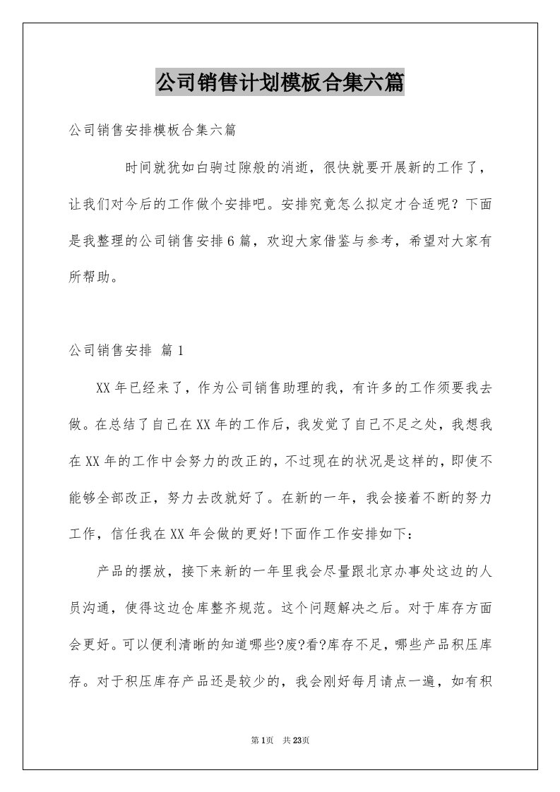 公司销售计划模板合集六篇范文