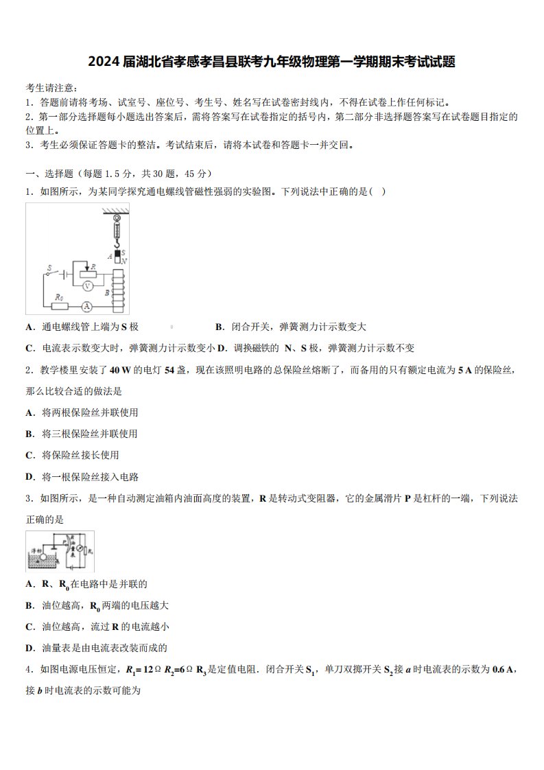 2024届湖北省孝感孝昌县联考九年级物理第一学期期末考试试题含解析